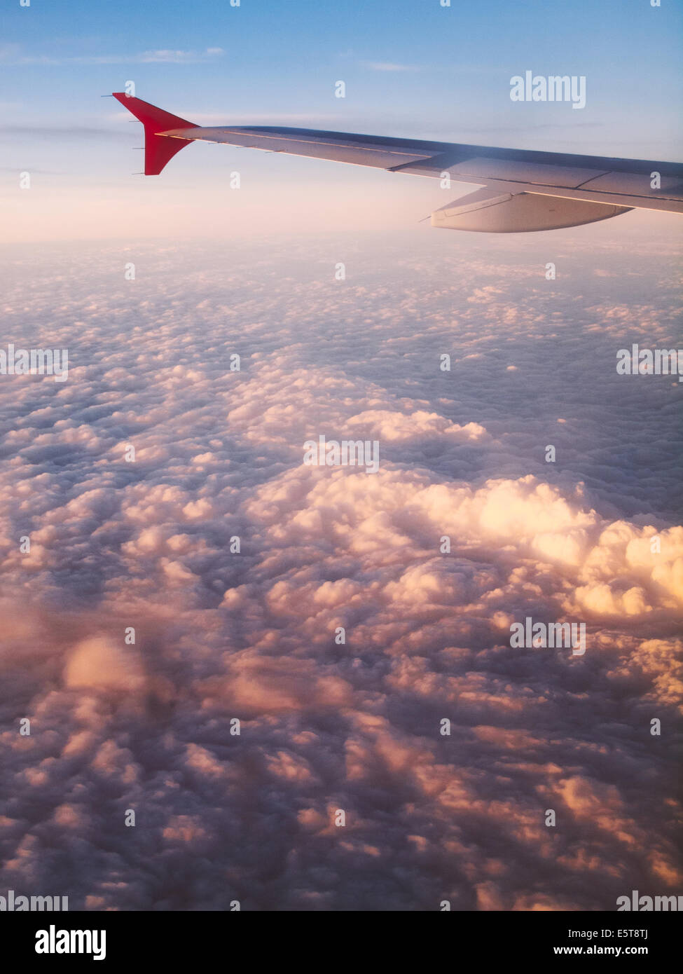 Wing of an airplane flying above the clouds at sunset Stock Photo - Alamy