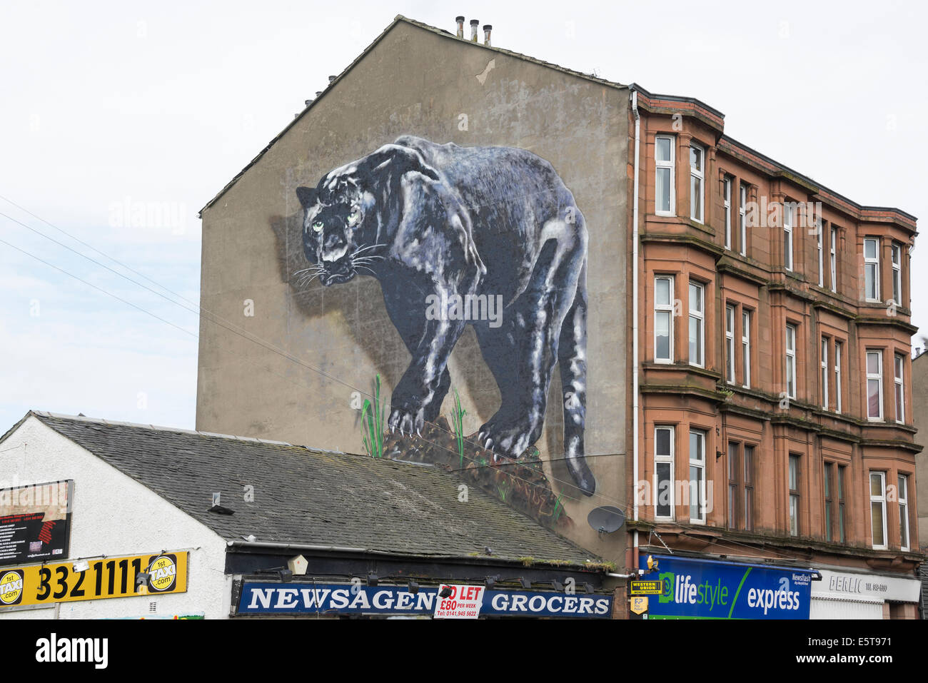 Black Panther Mural on gable end of tenement property in Maryhill Glasgow. Stock Photo