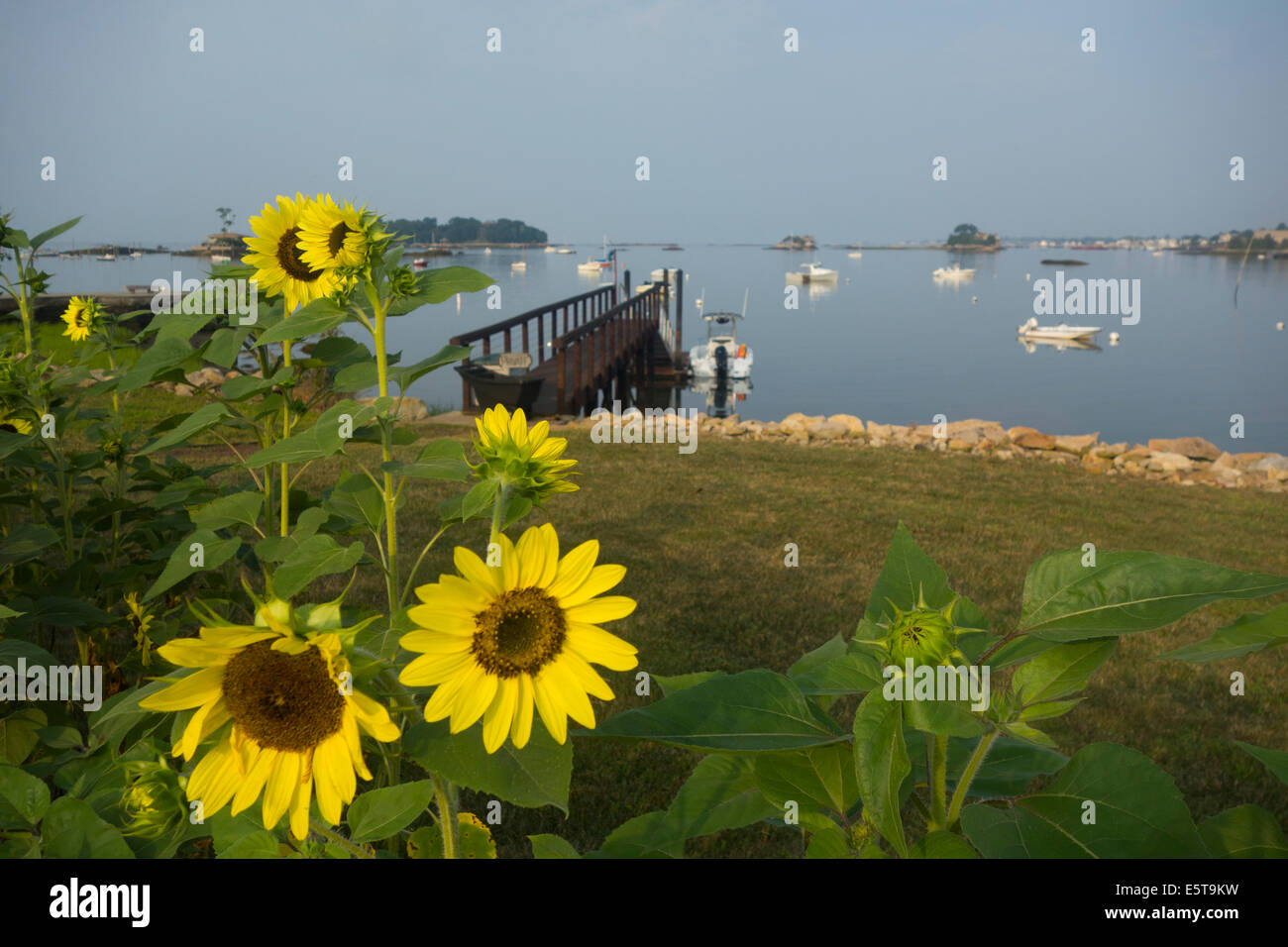 Thimble islands hires stock photography and images Alamy