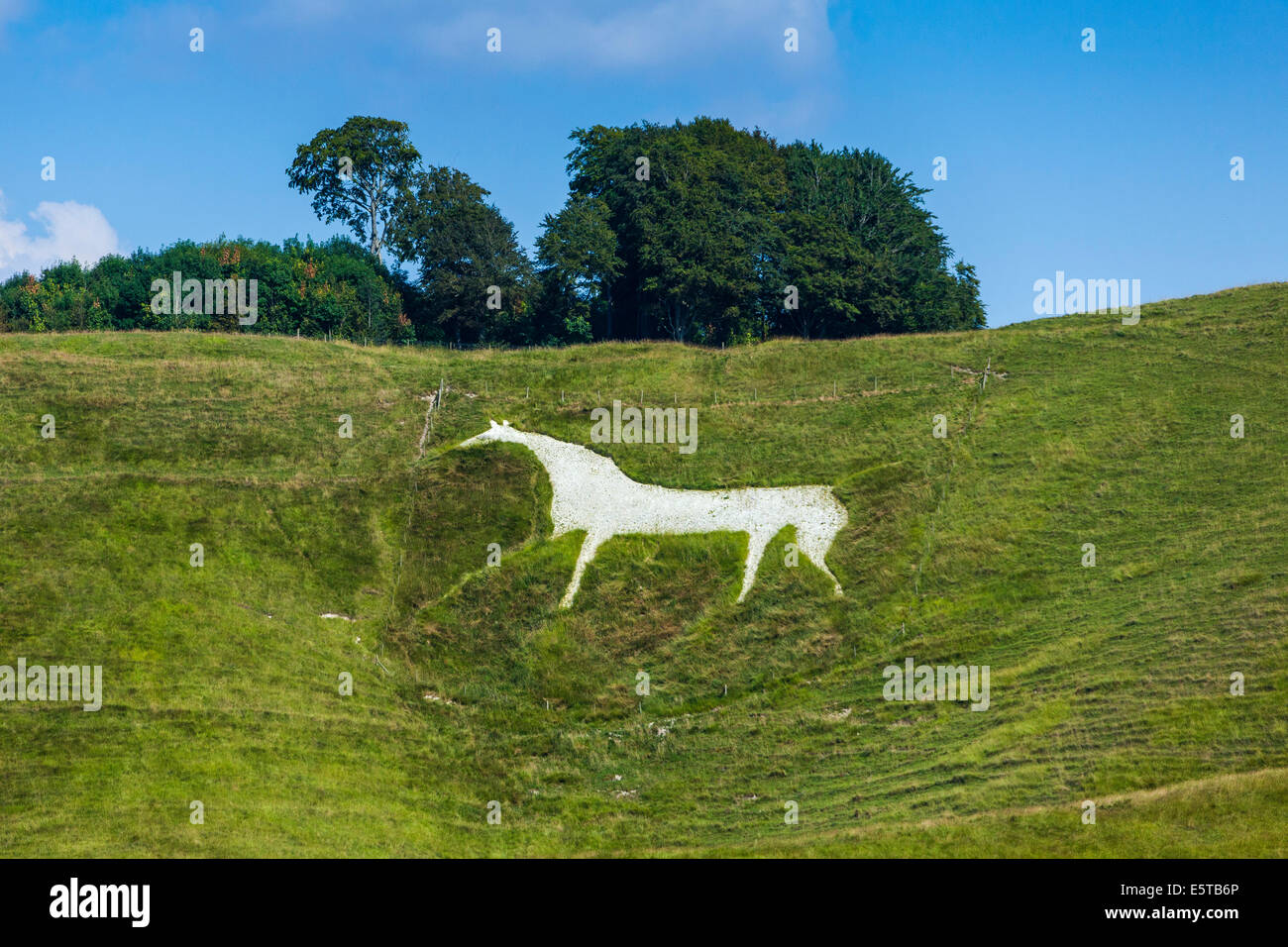The Cherhill White Horse near Calne Wiltshire England UK. JMH6253 Stock
