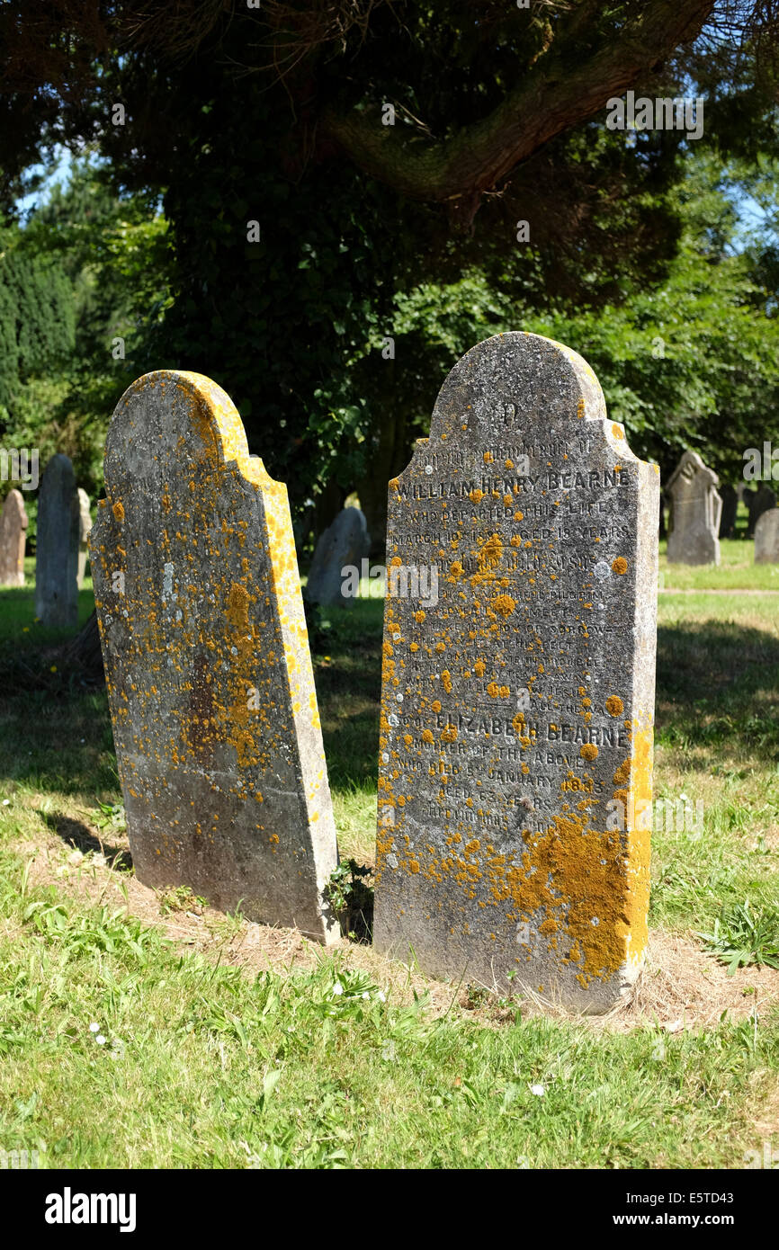 Tombs at Higher Cemetery of Exeter, England, UK Stock Photo Alamy