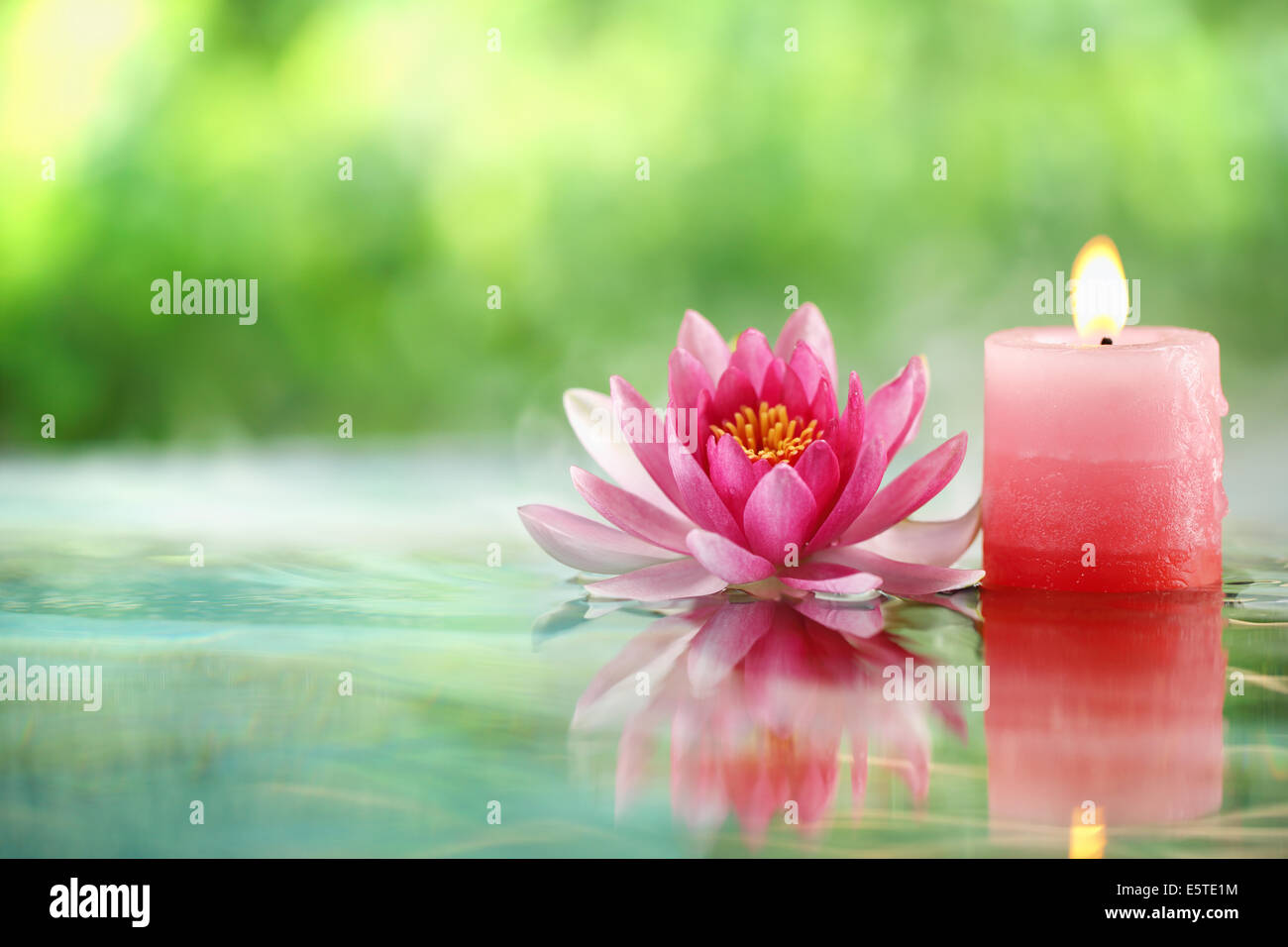 Burning candle and water lily in water. Stock Photo