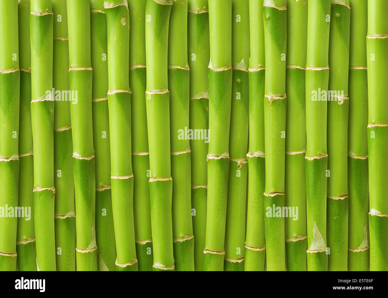green bamboo background Stock Photo