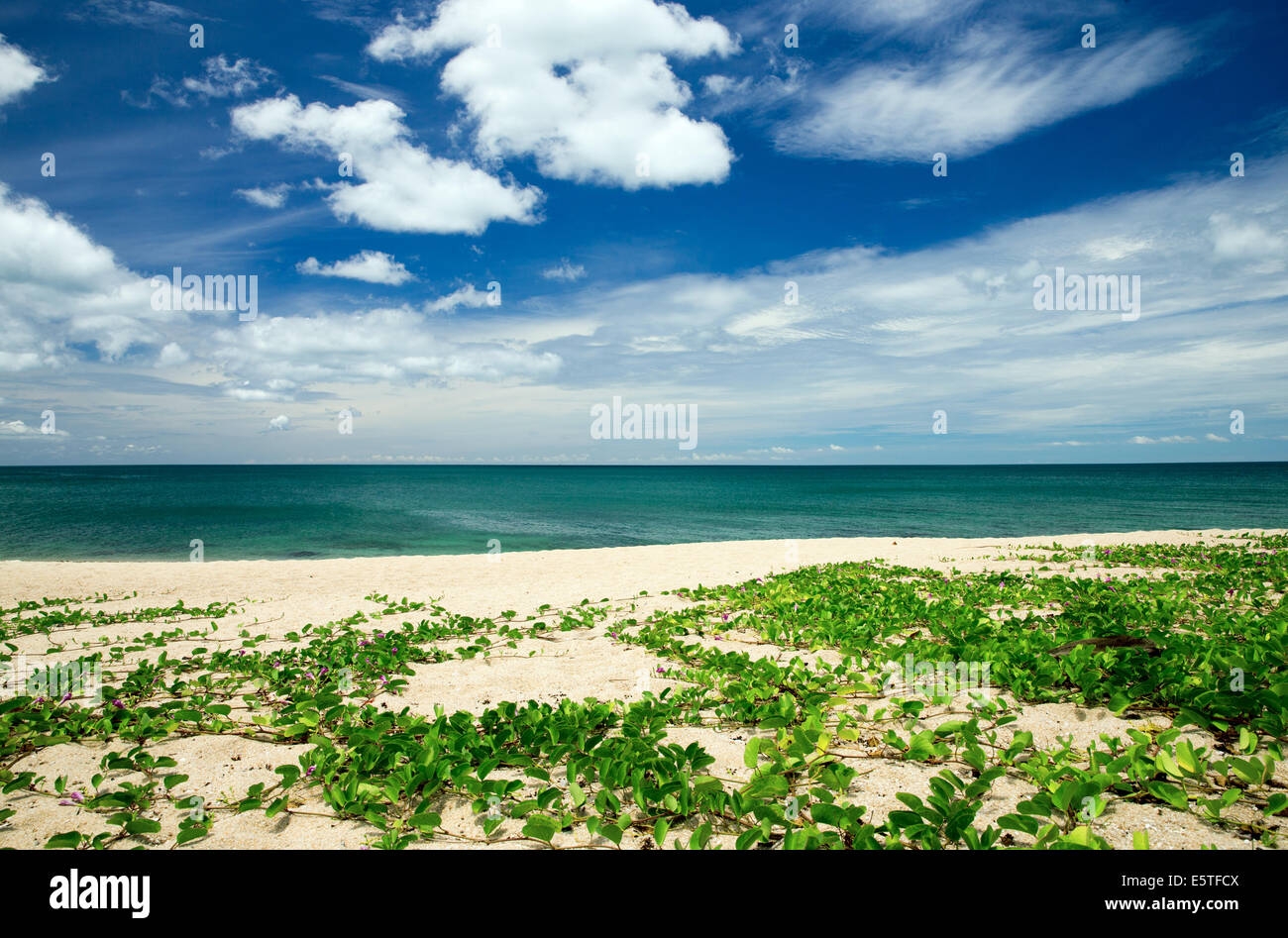 tropical sea and blue sky Stock Photo