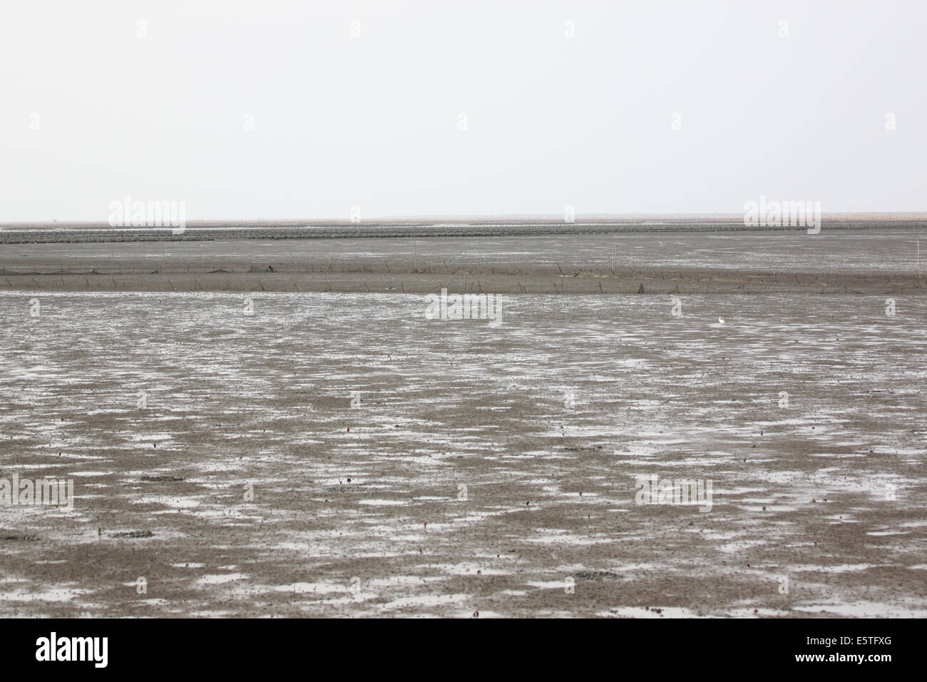 ground on seaside of moments reduced water. Stock Photo