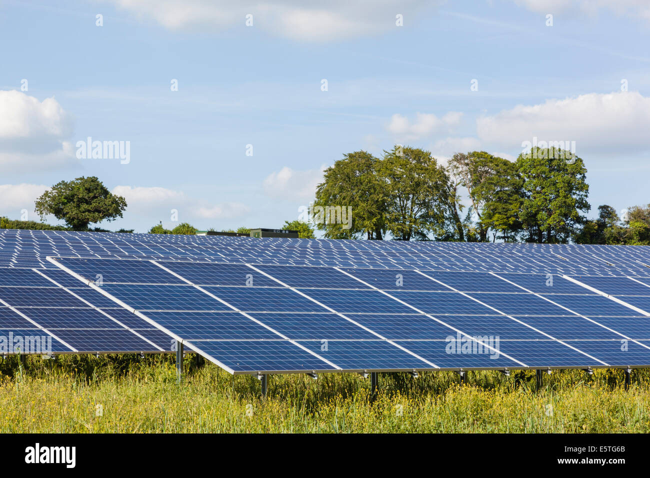 England, Hampshire, Solar Panel Farm Stock Photo