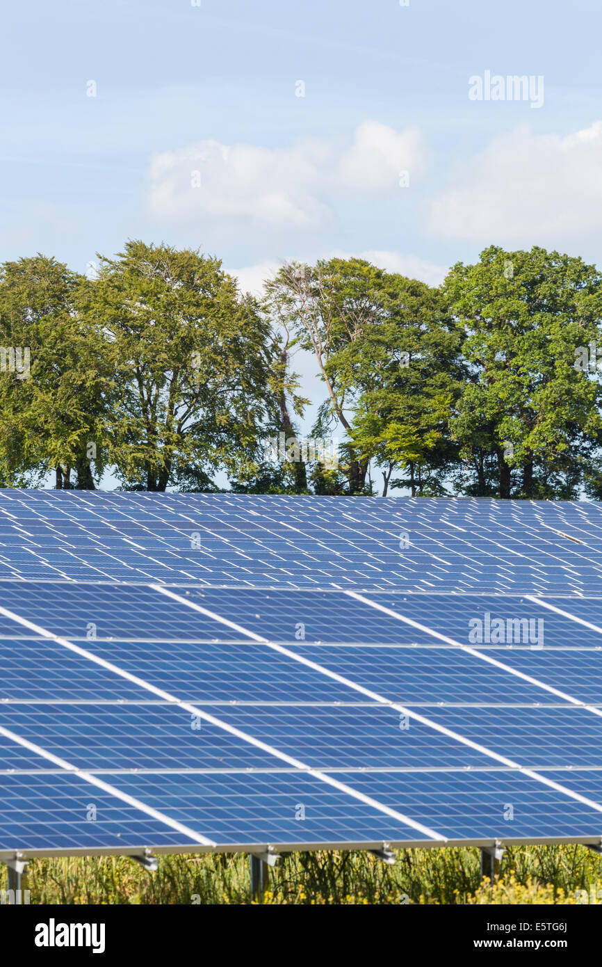 England, Hampshire, Solar Panel Farm Stock Photo Alamy