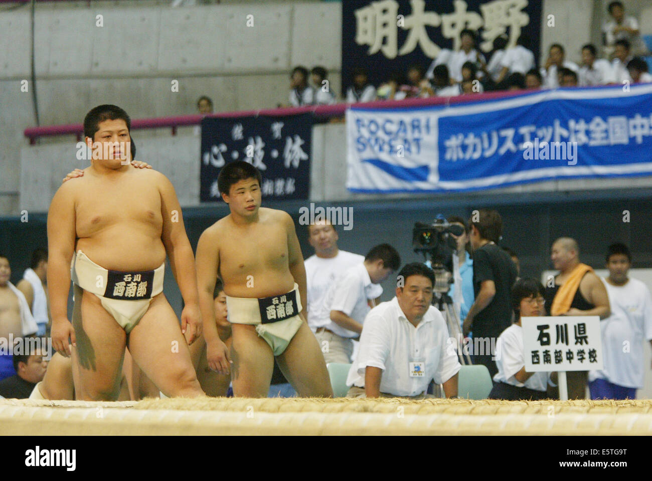 sumo junior
