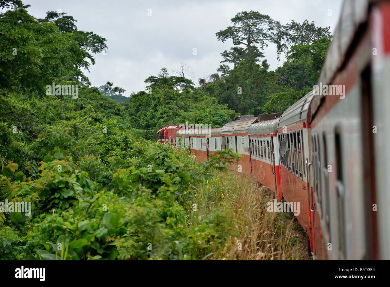 Railroad, old waggons, French rolling stock, near Batschenga, Cameroon Stock Photo