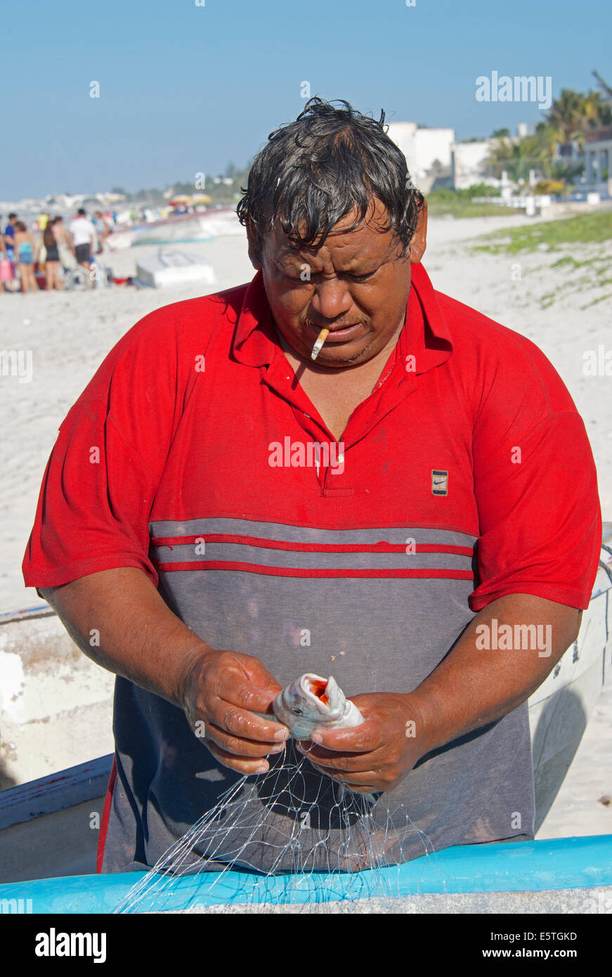 Fisherman extracting fish from net Progreso Beach Yucatan Mexico Stock Photo