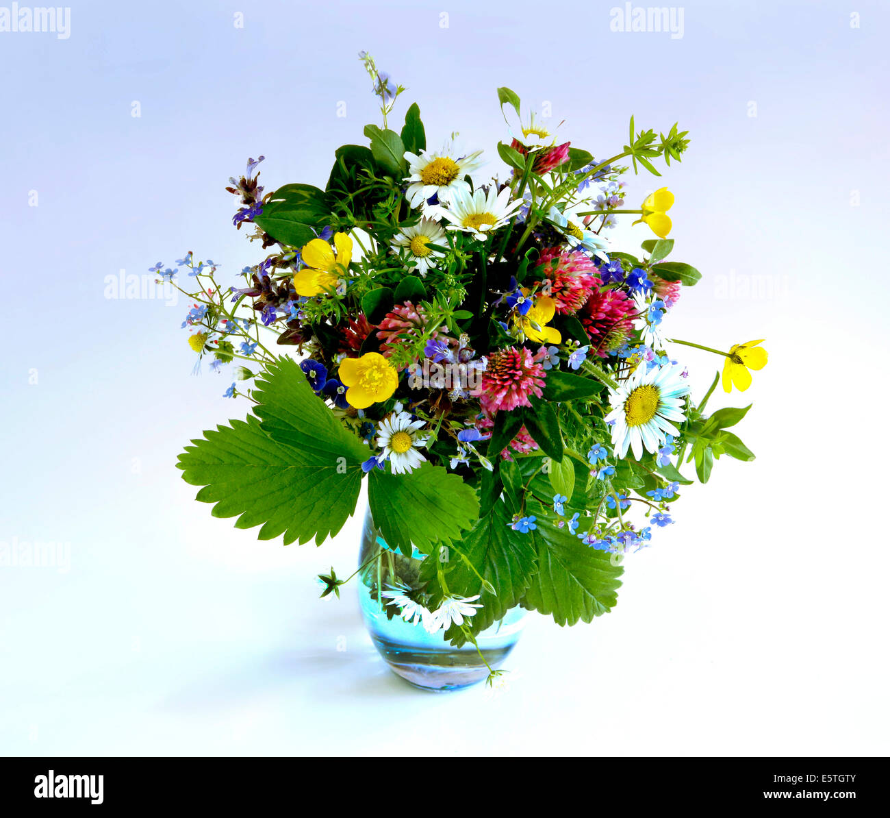 A colourful bouquet of wild flowers Stock Photo - Alamy