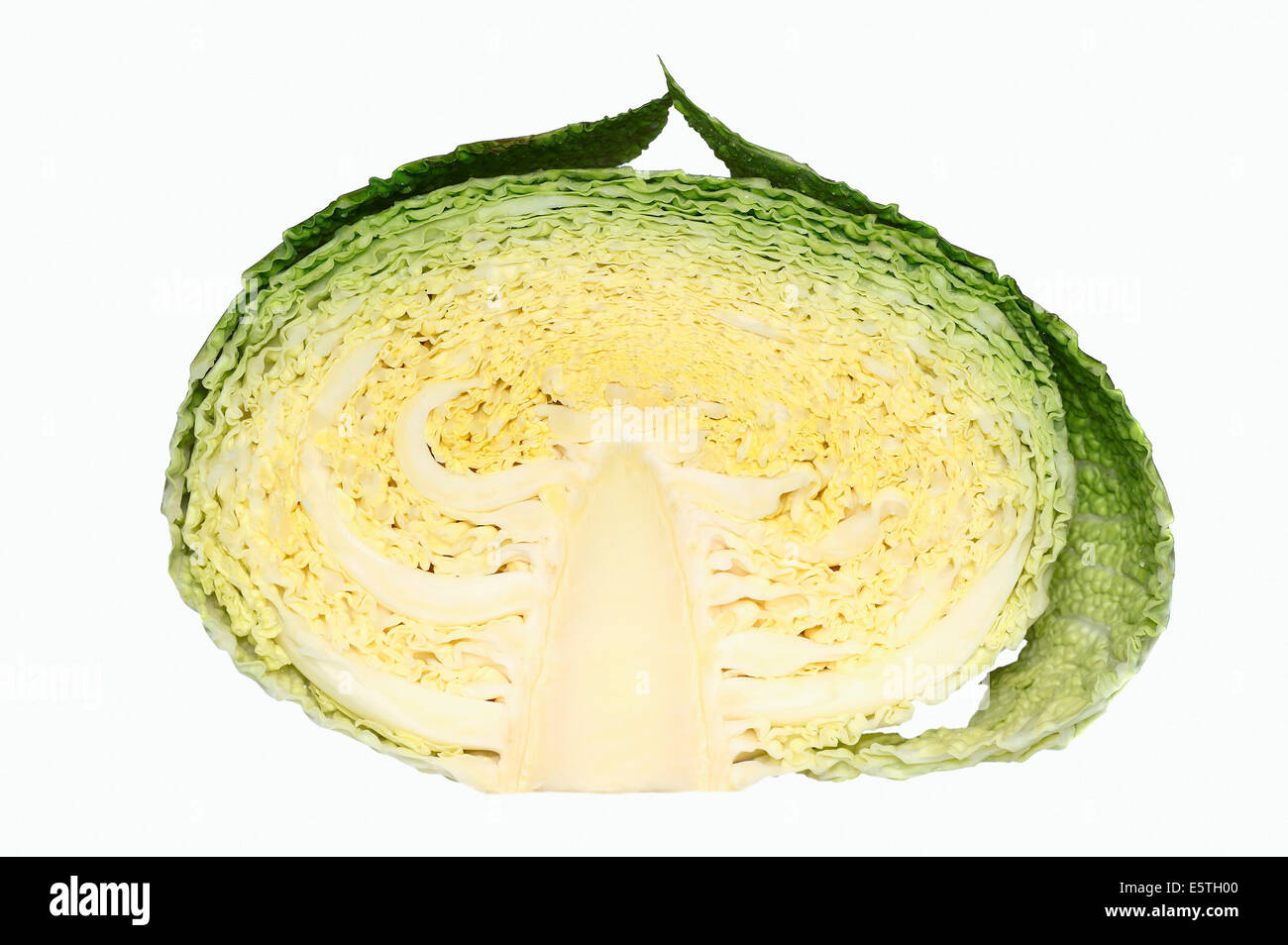 Savoy Cabbage (Brassica oleracea var sabauda), halved Stock Photo
