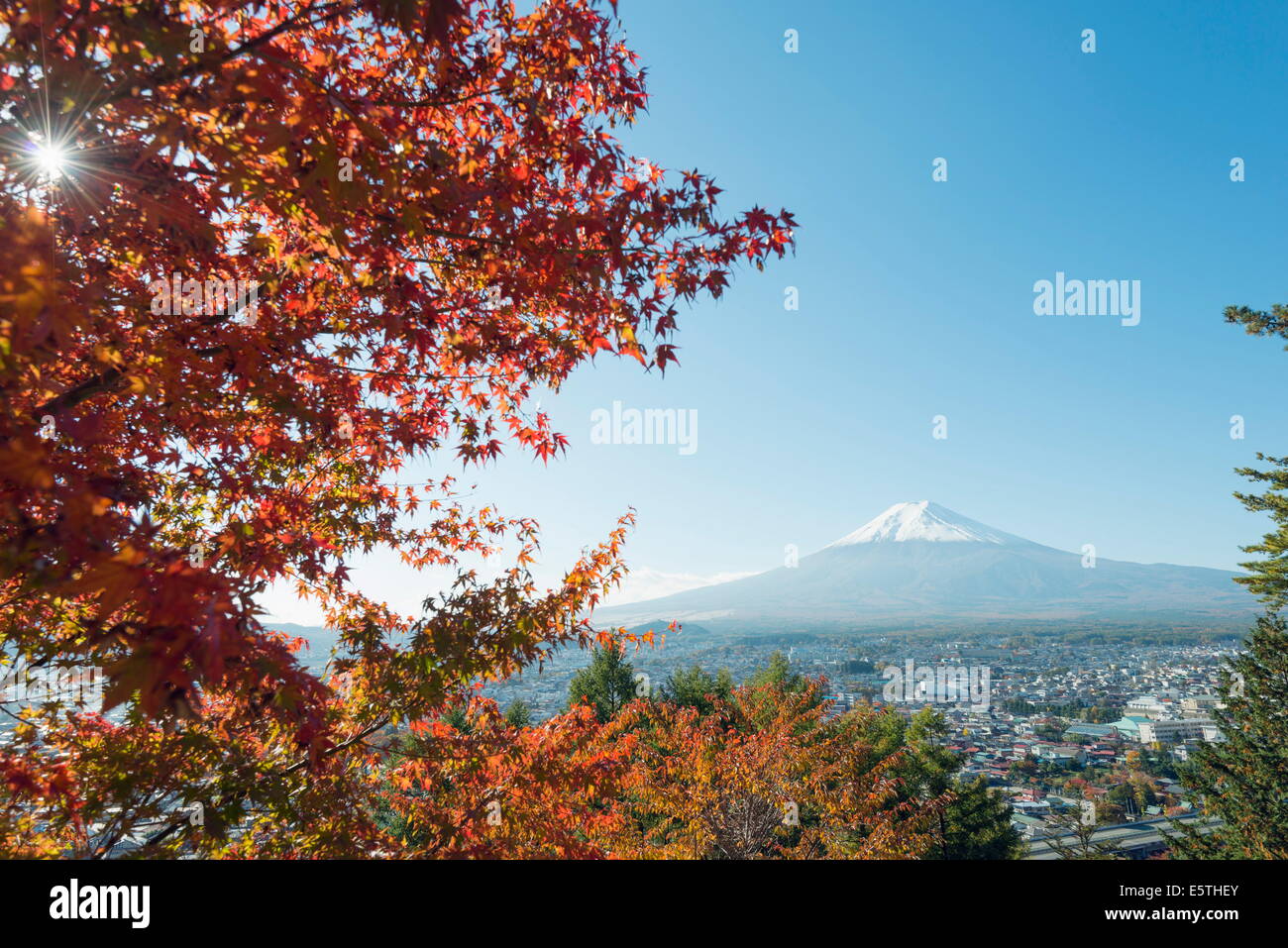 Mount Fuji, 3776m, UNESCO World Heritage Site, and autumn colours, Honshu, Japan, Asia Stock Photo