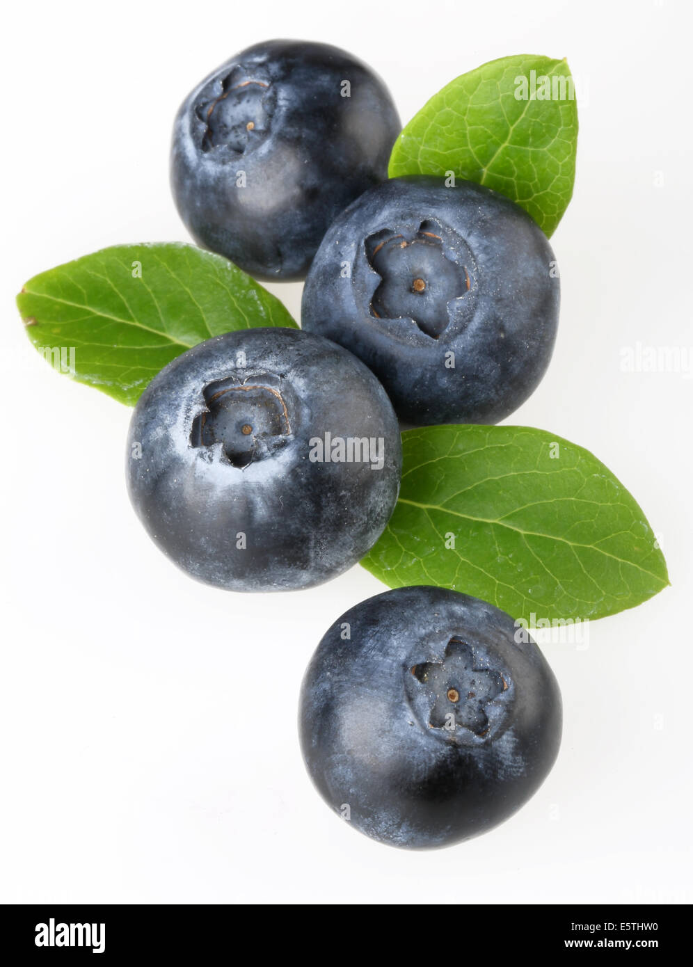 BLUEBERRIES WITH LEAVES Stock Photo