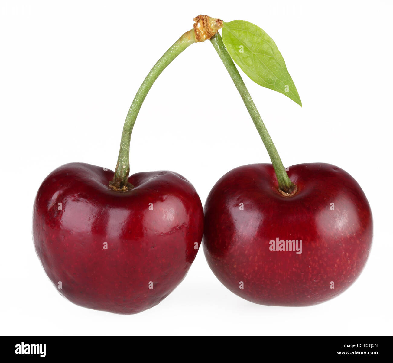 TWO DARK CHERRIES Stock Photo - Alamy