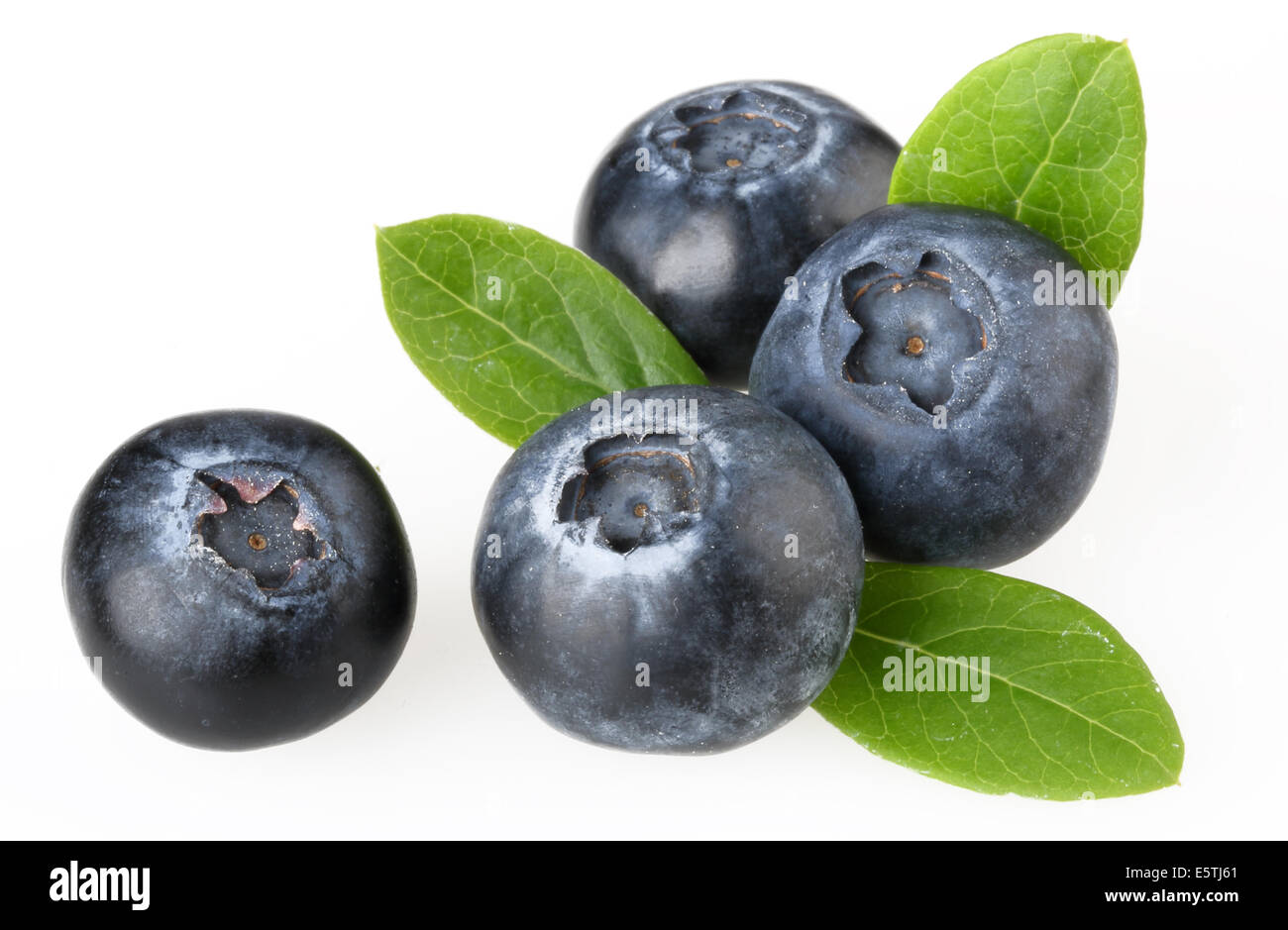 American blueberries fruit hires stock photography and images Alamy