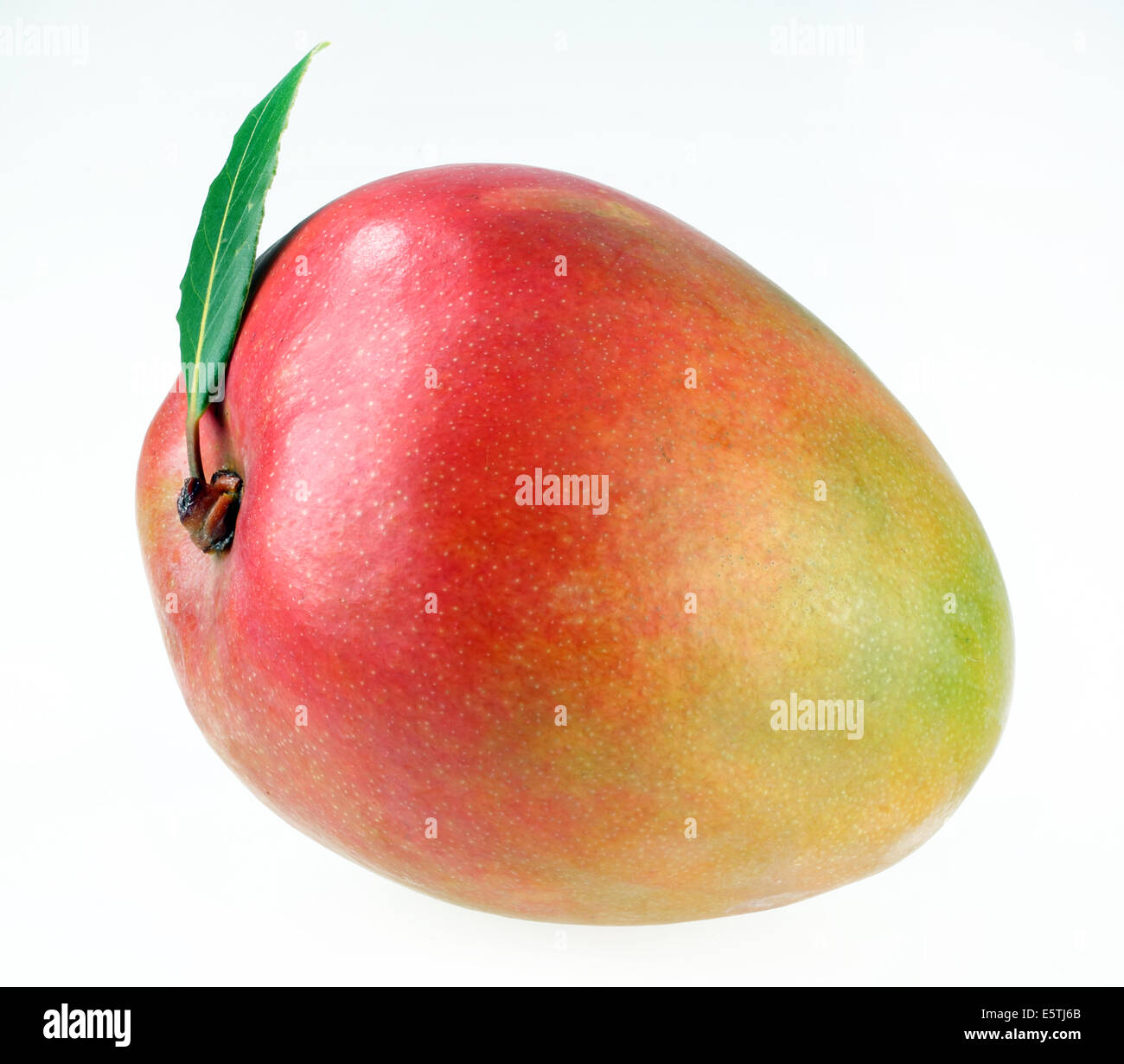 WHOLE HALF AND SLICED  MANGO Stock Photo