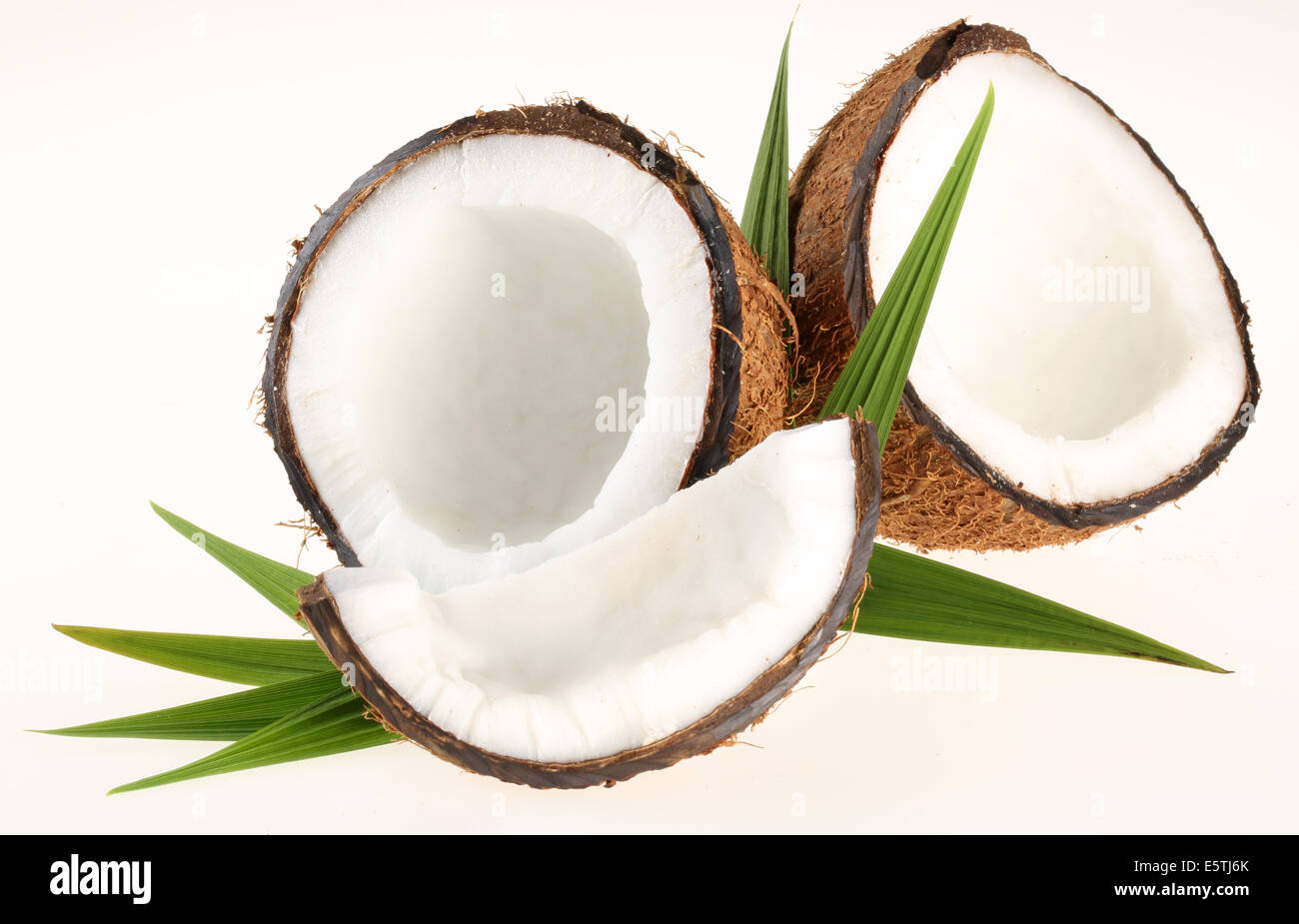 FRESH COCONUTS ON WHITE Stock Photo