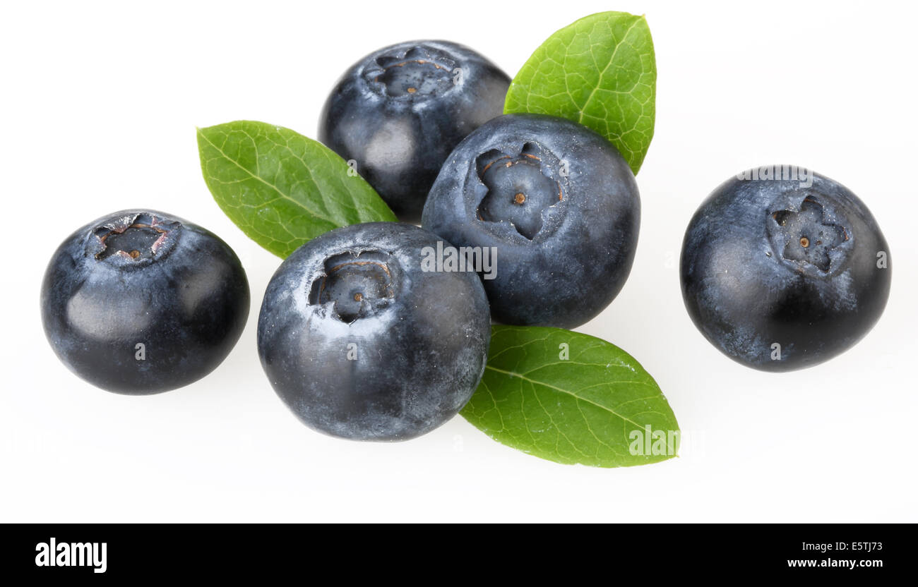 BLUEBERRIES WITH LEAVES Stock Photo