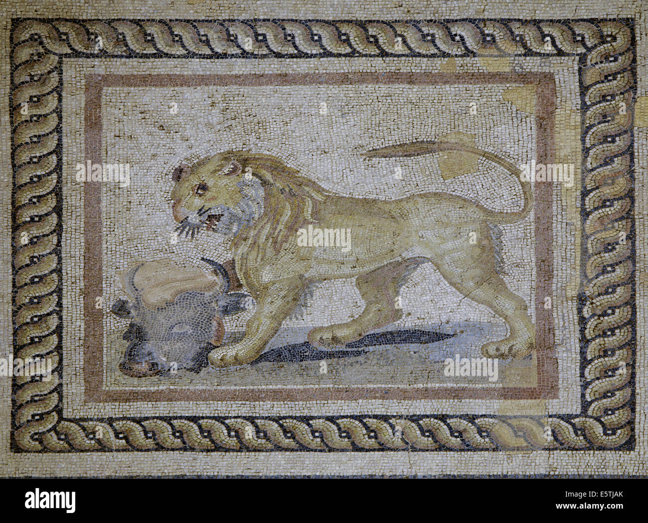 Mosaic in a terrace house Ephesus Turkey Stock Photo