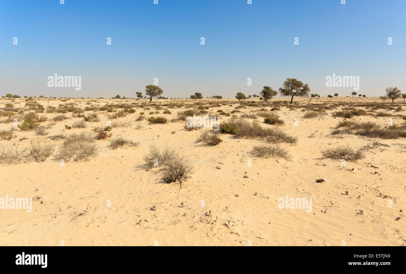 Arabian desert Stock Photo