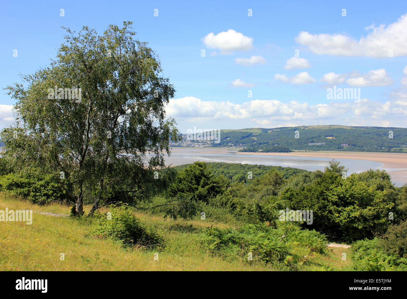 View From Arnside Knott National Trust Reserve Towards The Kent Estuary, Cumbria Stock Photo