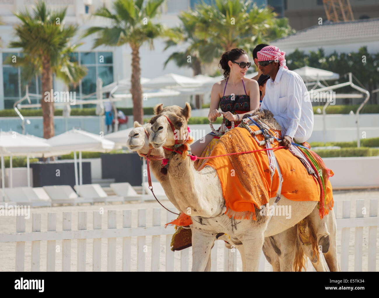 DUBAI, UAE - NOVEMBER 16, 2012: Camel on Jumeirah Beach in Dubai at the Burj Al Arab background.  Dubai was the fastest developi Stock Photo