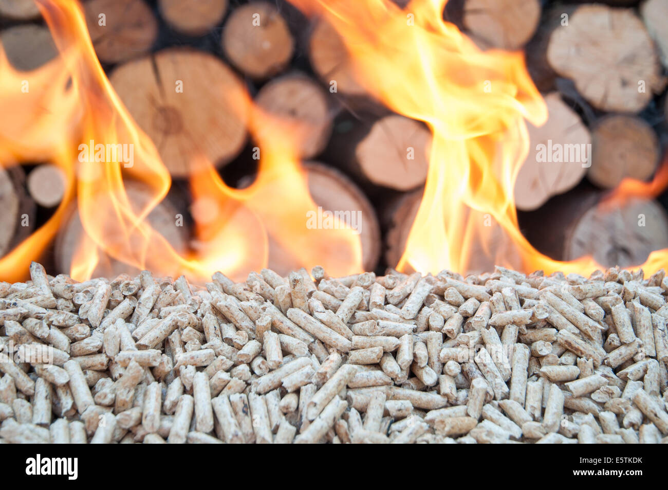 Pine in flames- behind flames ara fire wood Stock Photo - Alamy
