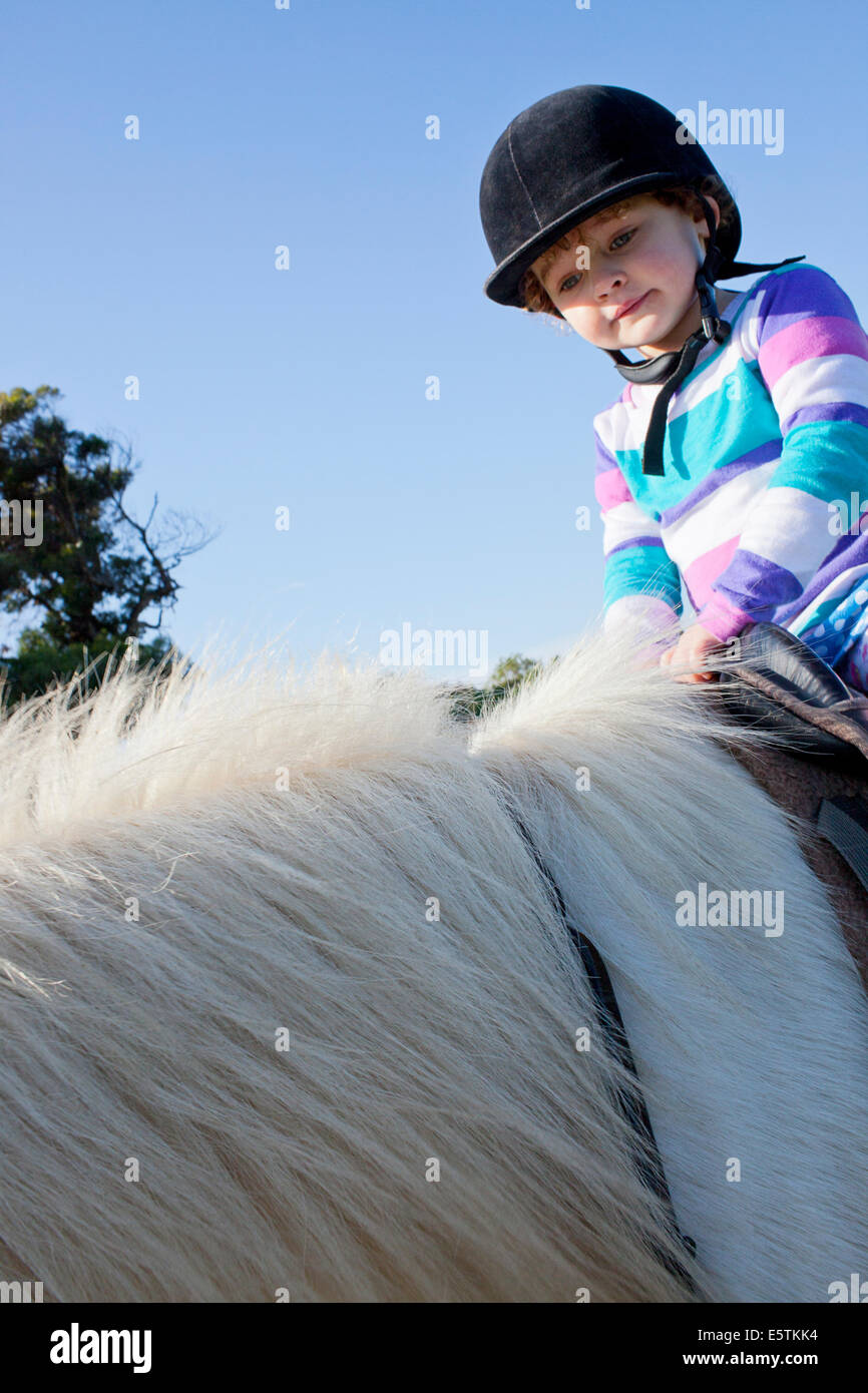 Cute little girl riding a horse Stock Photo