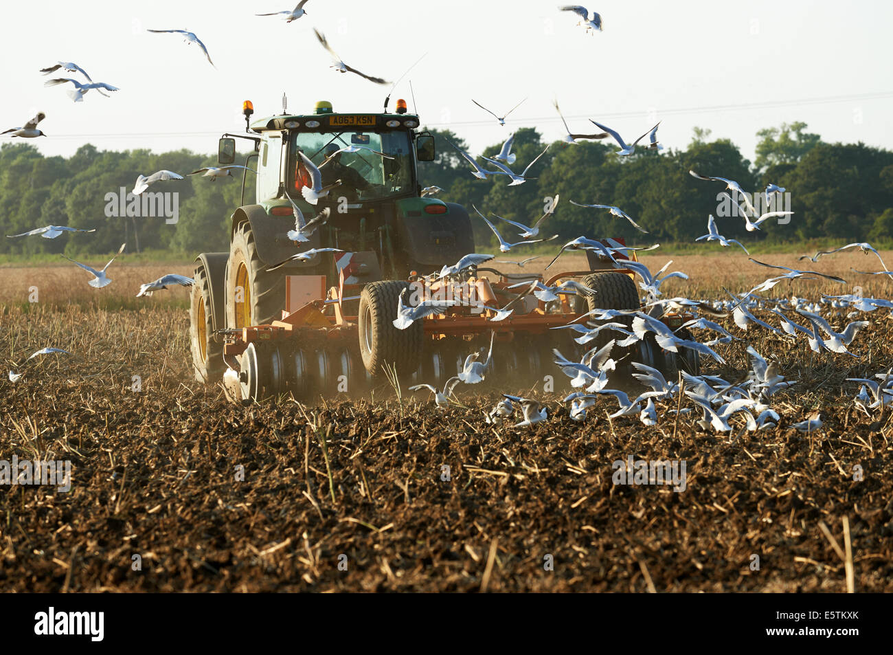 Farmland being cultivated with discs Stock Photo