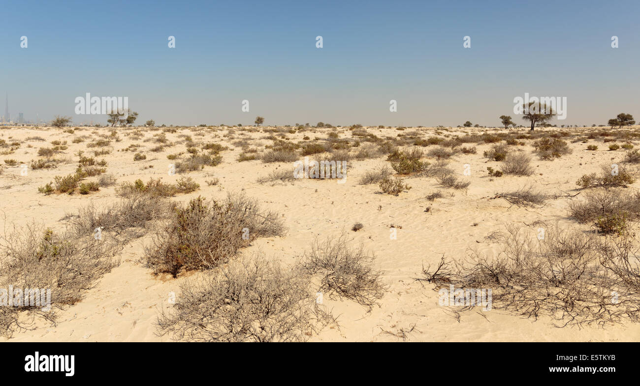 Arabian desert Stock Photo