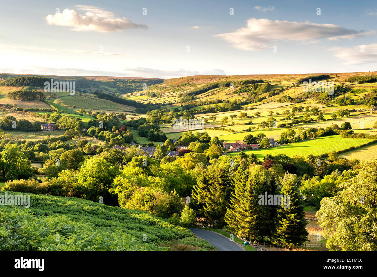 Evening light on Rosedale Abbey village, with Northdale in the