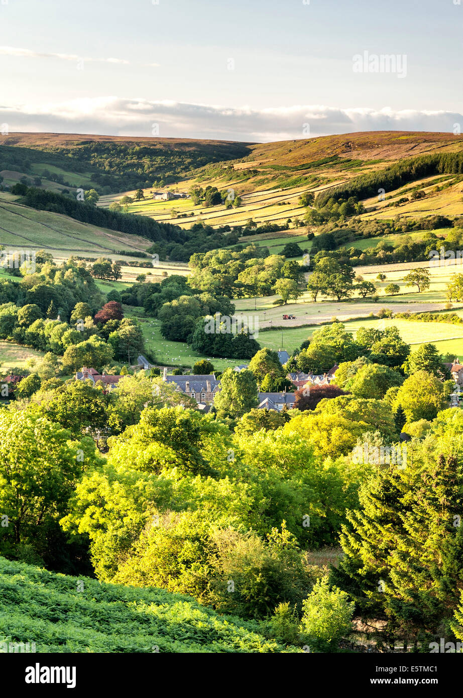 Evening light on Rosedale Abbey village, with Northdale in the