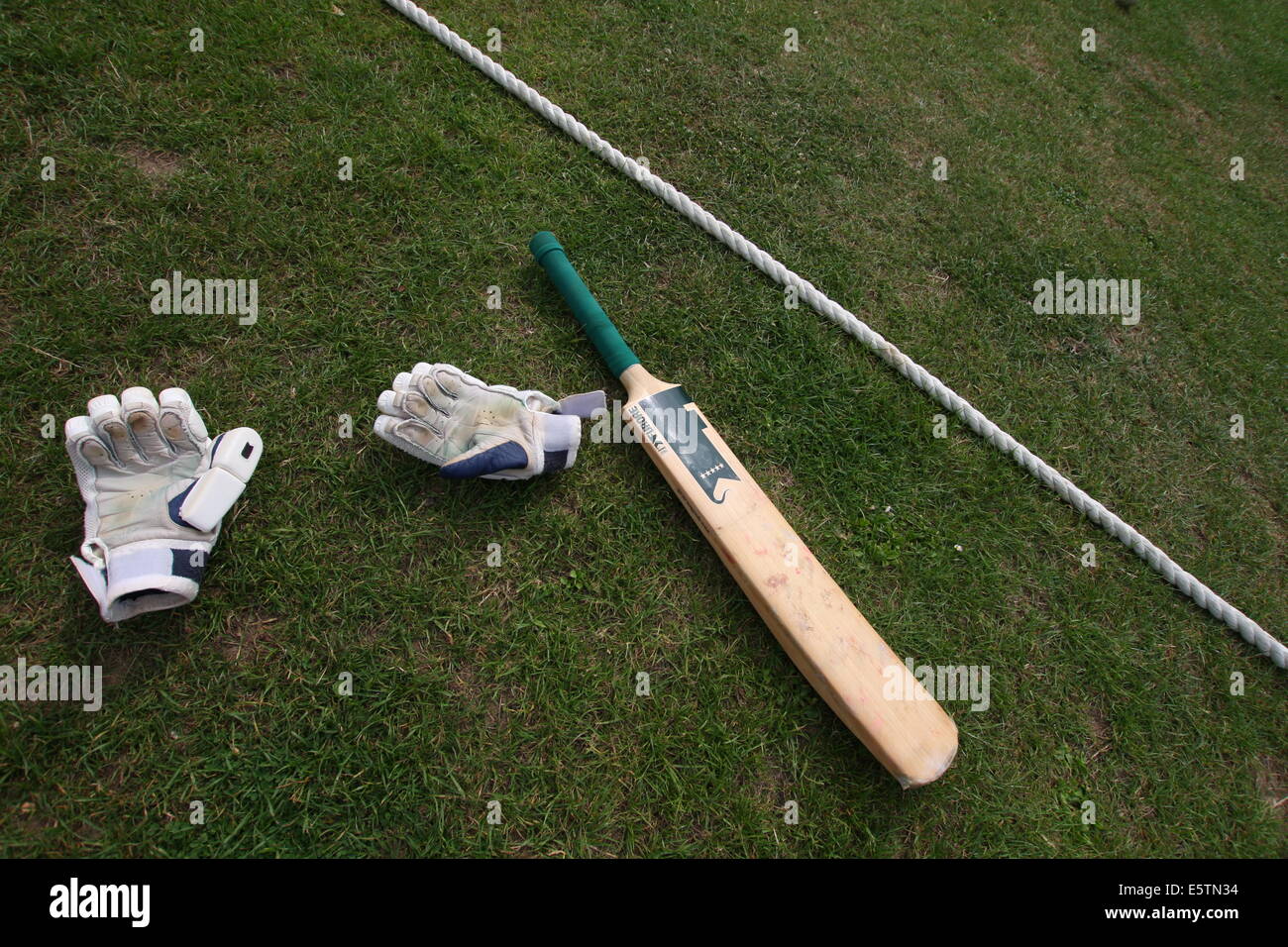 Cricket Generic Stock Photo