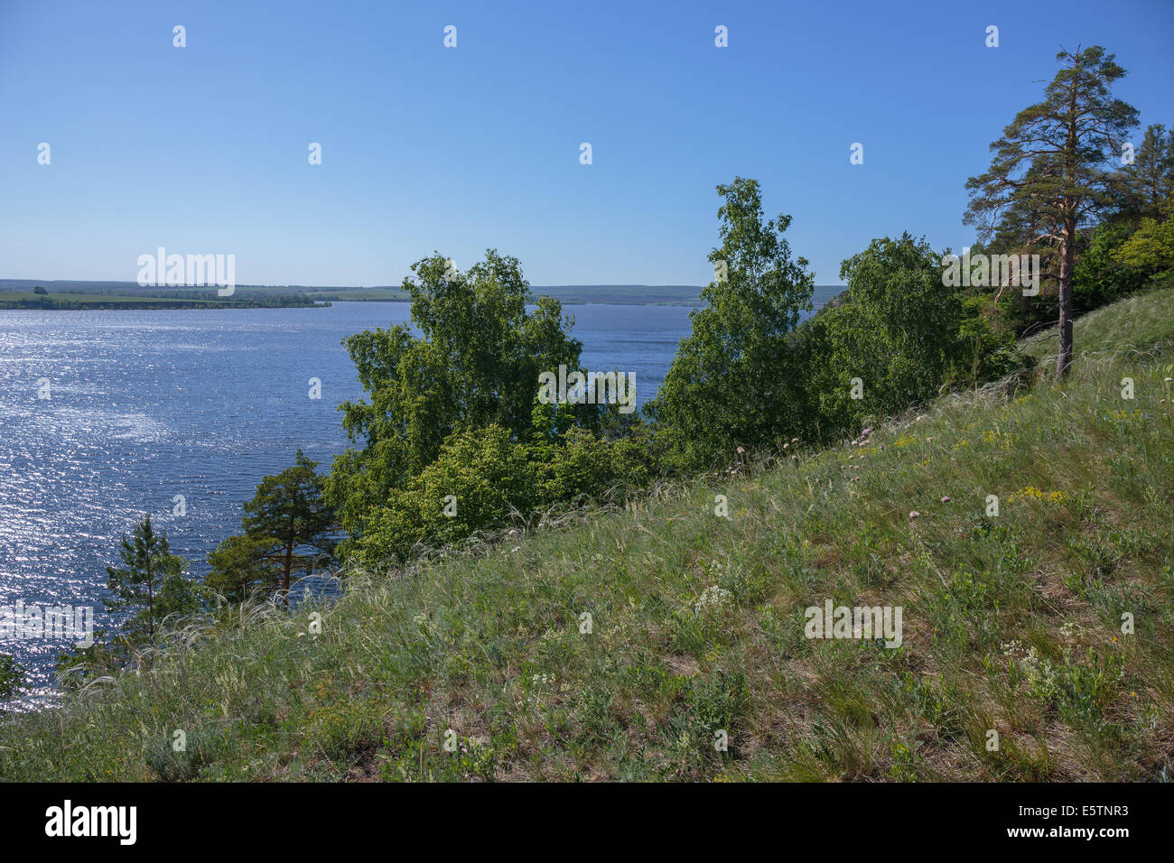 summer river in central Russia Stock Photo - Alamy