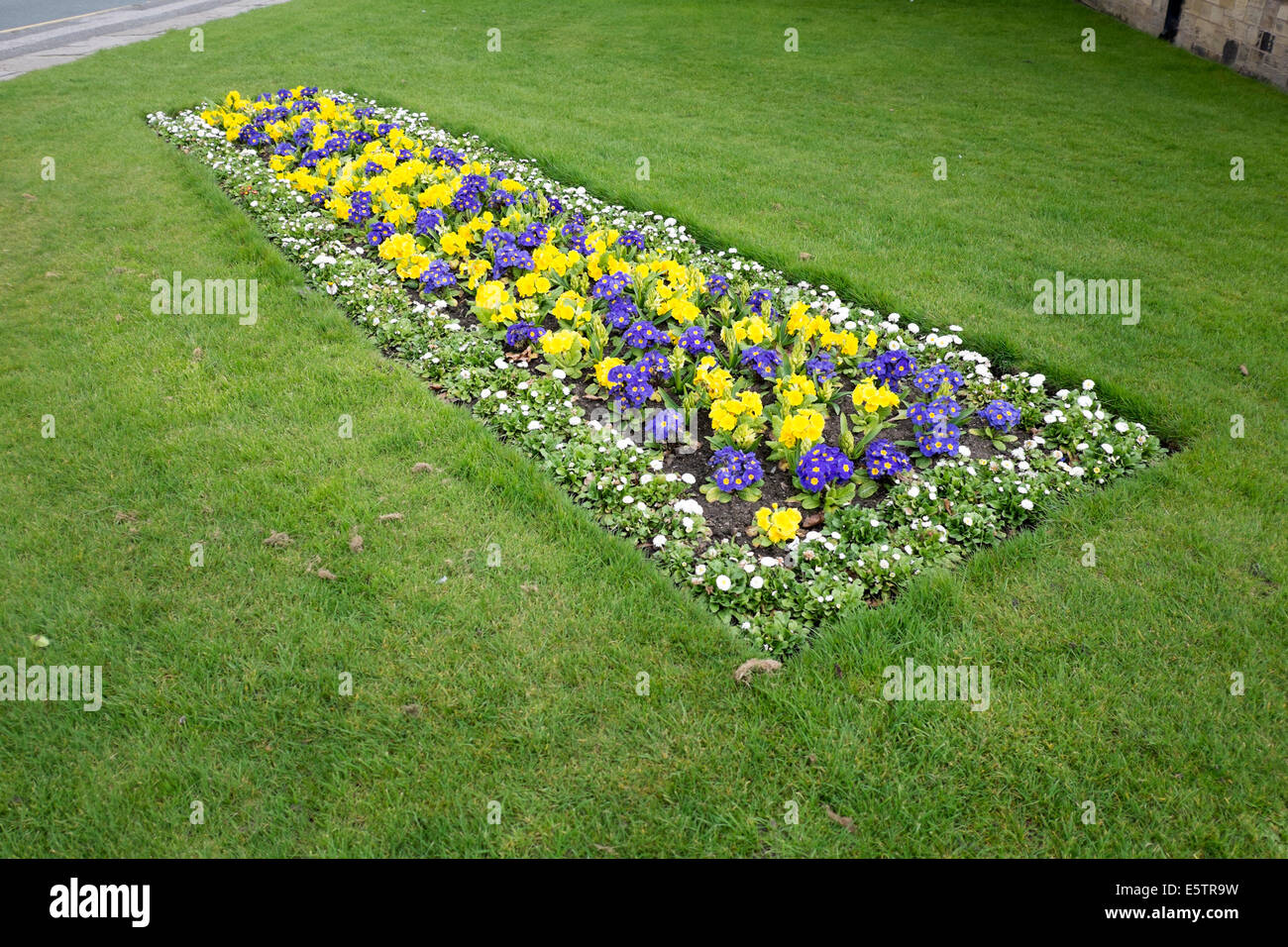 Formal flower bed hi-res stock photography and images - Alamy