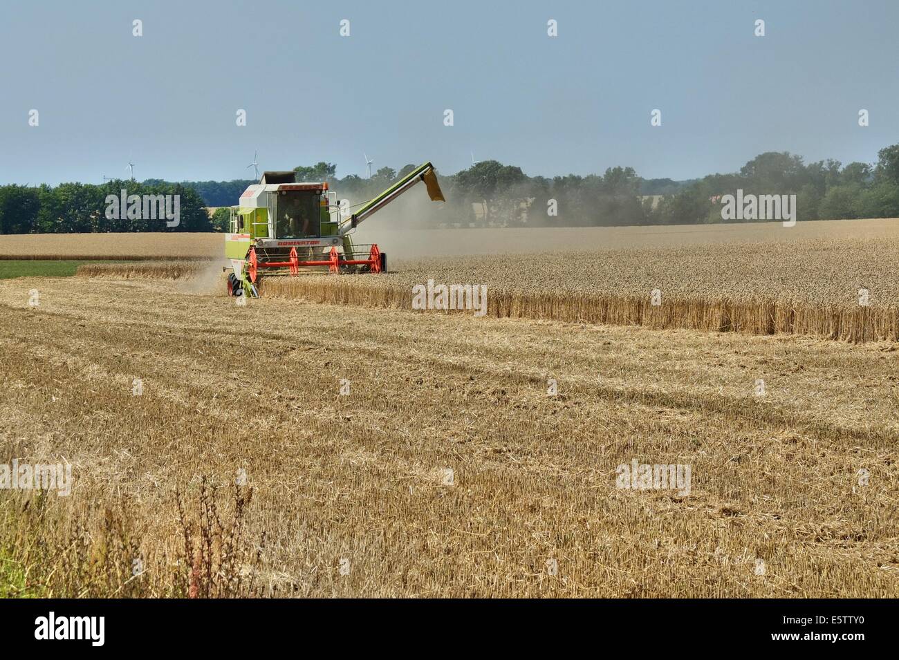 Denmark, Bornholm Island 1st - 4th, August 2014 Farmers during the harvesting process on the Bornholm Island. Agriculture is one of a major sector of the economy of the Bornholm Island. Stock Photo