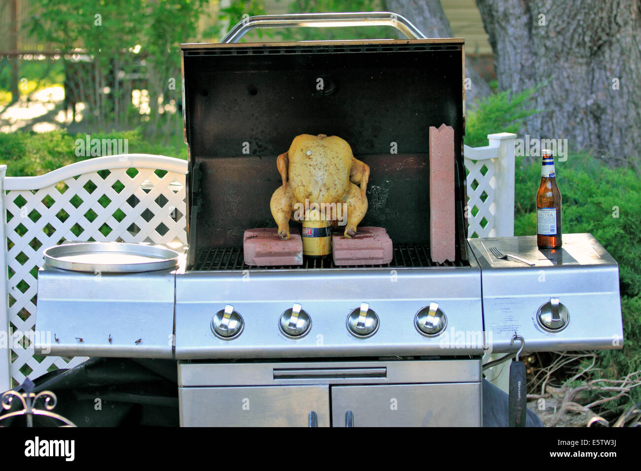 Backyard barbeque Long Island New York Stock Photo