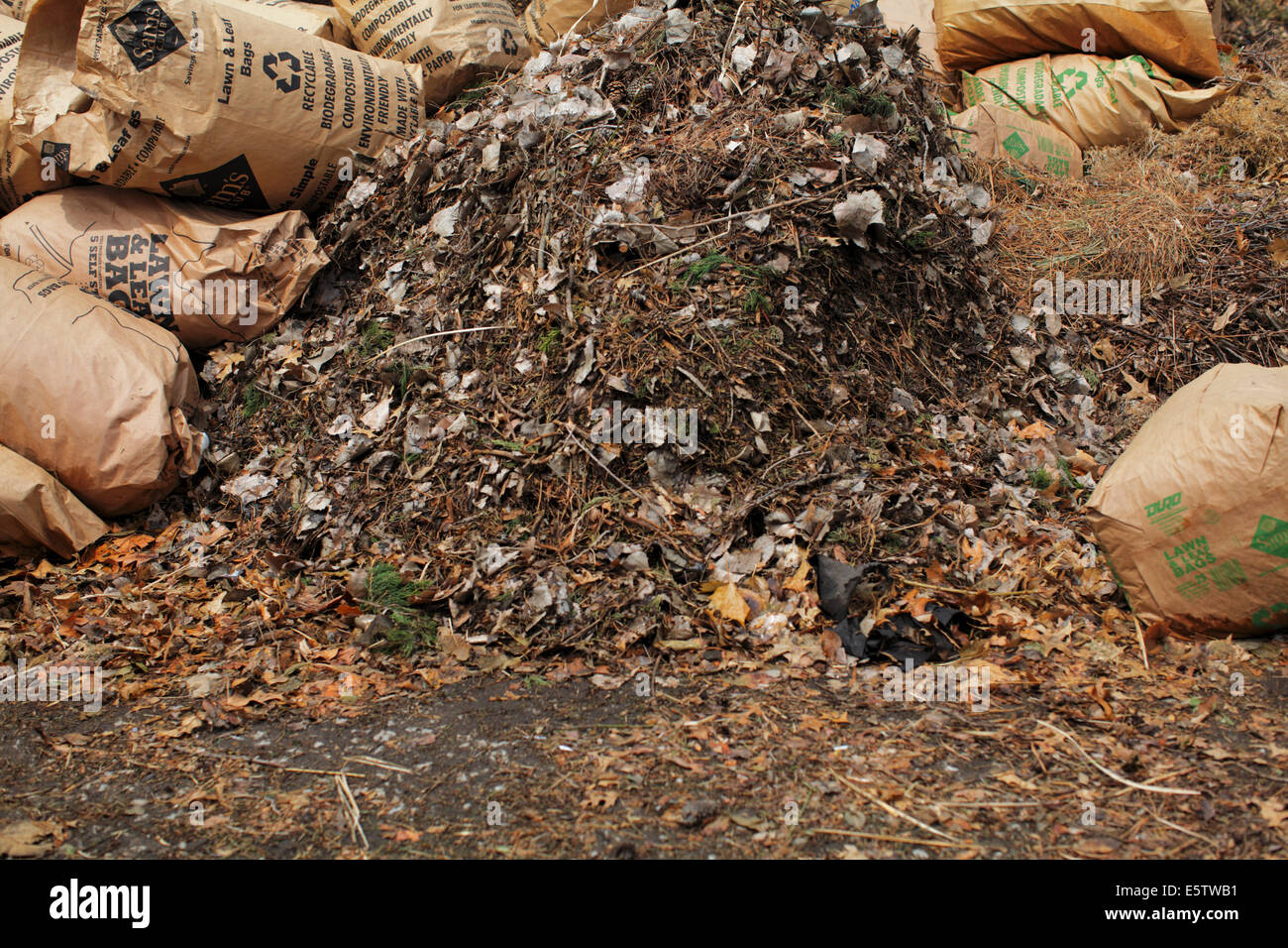 Organic matter hires stock photography and images Alamy