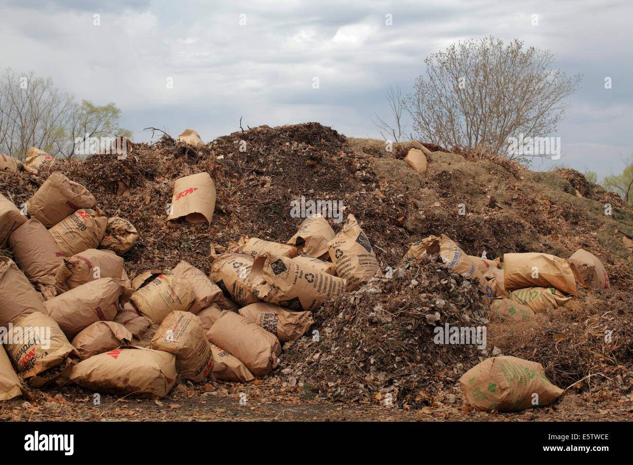 https://c8.alamy.com/comp/E5TWCE/bags-of-yard-waste-in-a-pile-E5TWCE.jpg