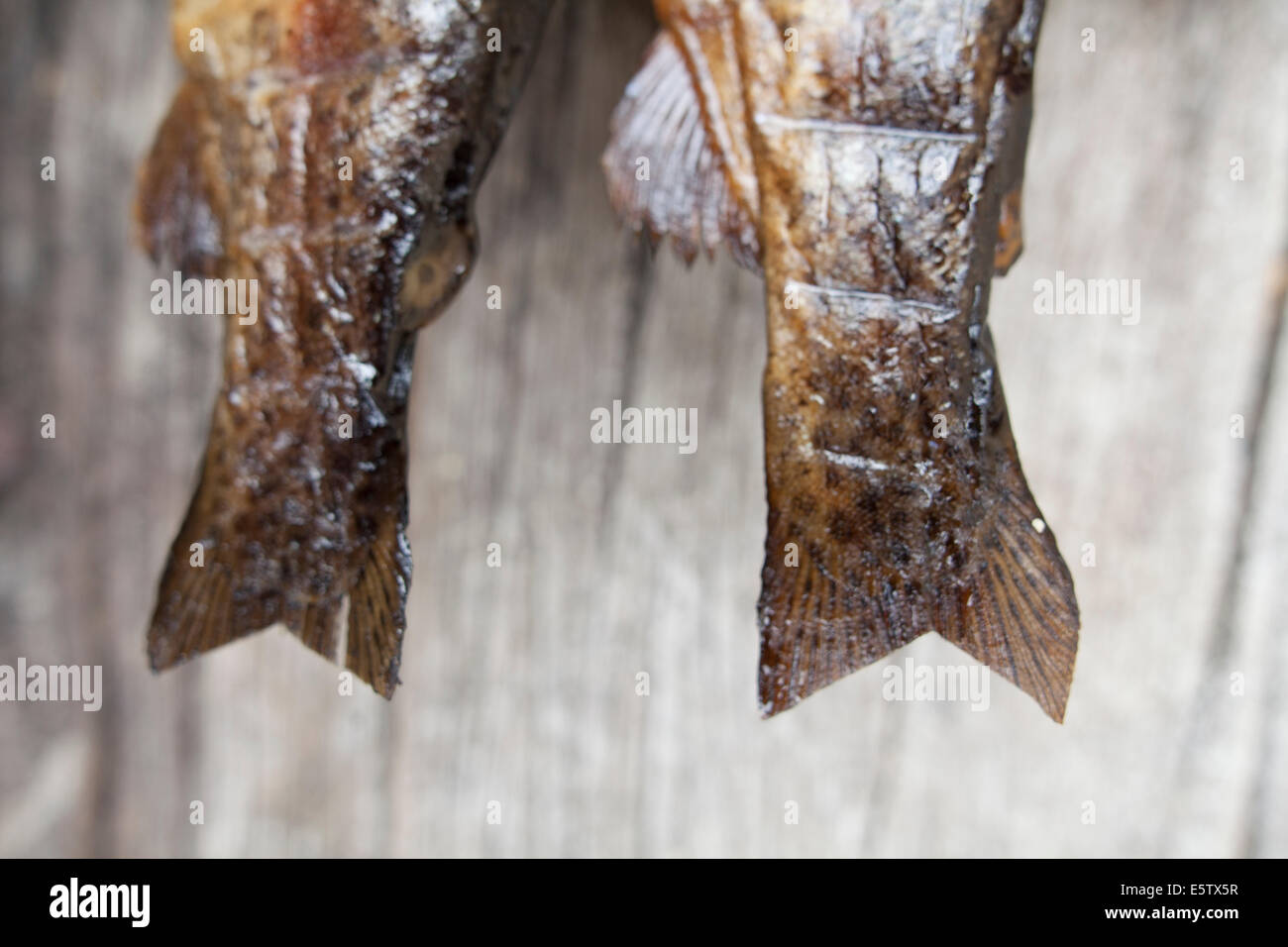 Smoked trout from the Holy Smoke cafe in Pemberton, Western Australia