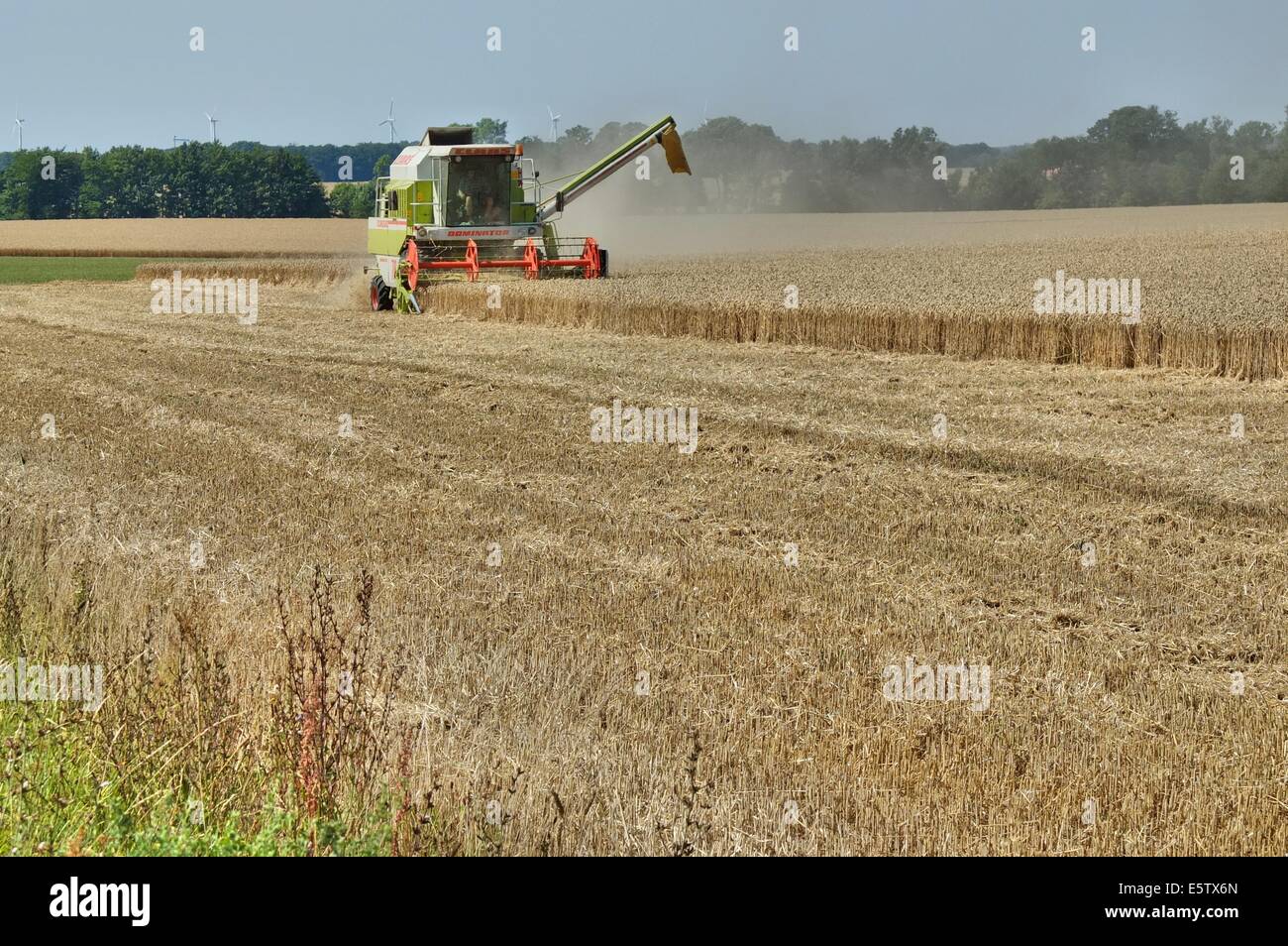 Denmark, Bornholm Island 1st - 4th, August 2014 Farmers during the harvesting process on the Bornholm Island. Agriculture is one of a major sector of the economy of the Bornholm Island. Stock Photo