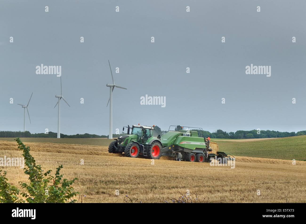 Denmark, Bornholm Island 1st - 4th, August 2014 Farmers during the harvesting process on the Bornholm Island. Agriculture is one of a major sector of the economy of the Bornholm Island. Stock Photo
