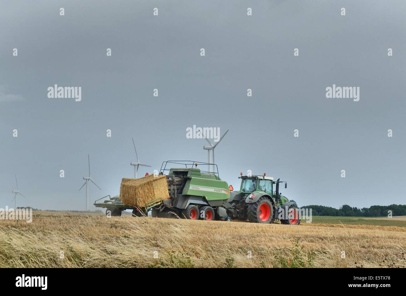 Denmark, Bornholm Island 1st - 4th, August 2014 Farmers during the harvesting process on the Bornholm Island. Agriculture is one of a major sector of the economy of the Bornholm Island. Stock Photo