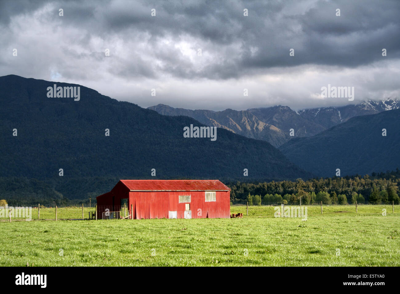 Red Barn In New Zealand Stock Photo Alamy