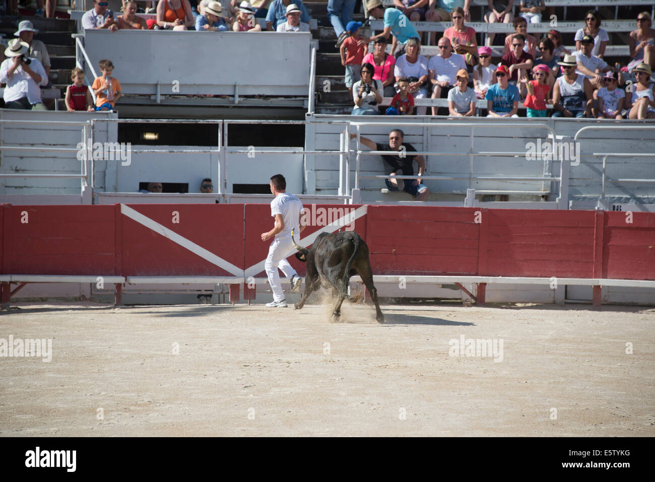 Bull Racing Arles France Stock Photo - Alamy