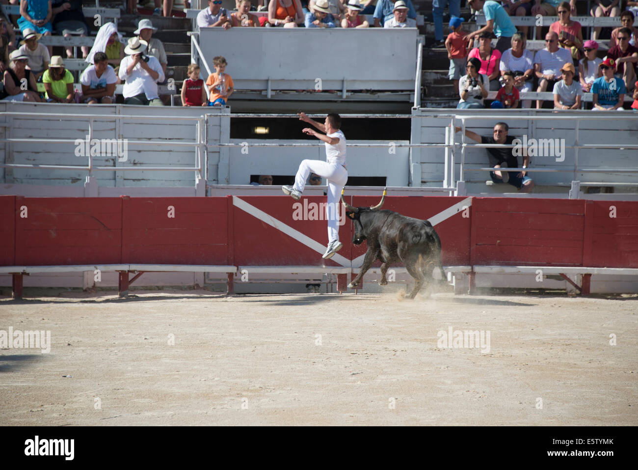 Bull Racing Arles France Stock Photo - Alamy