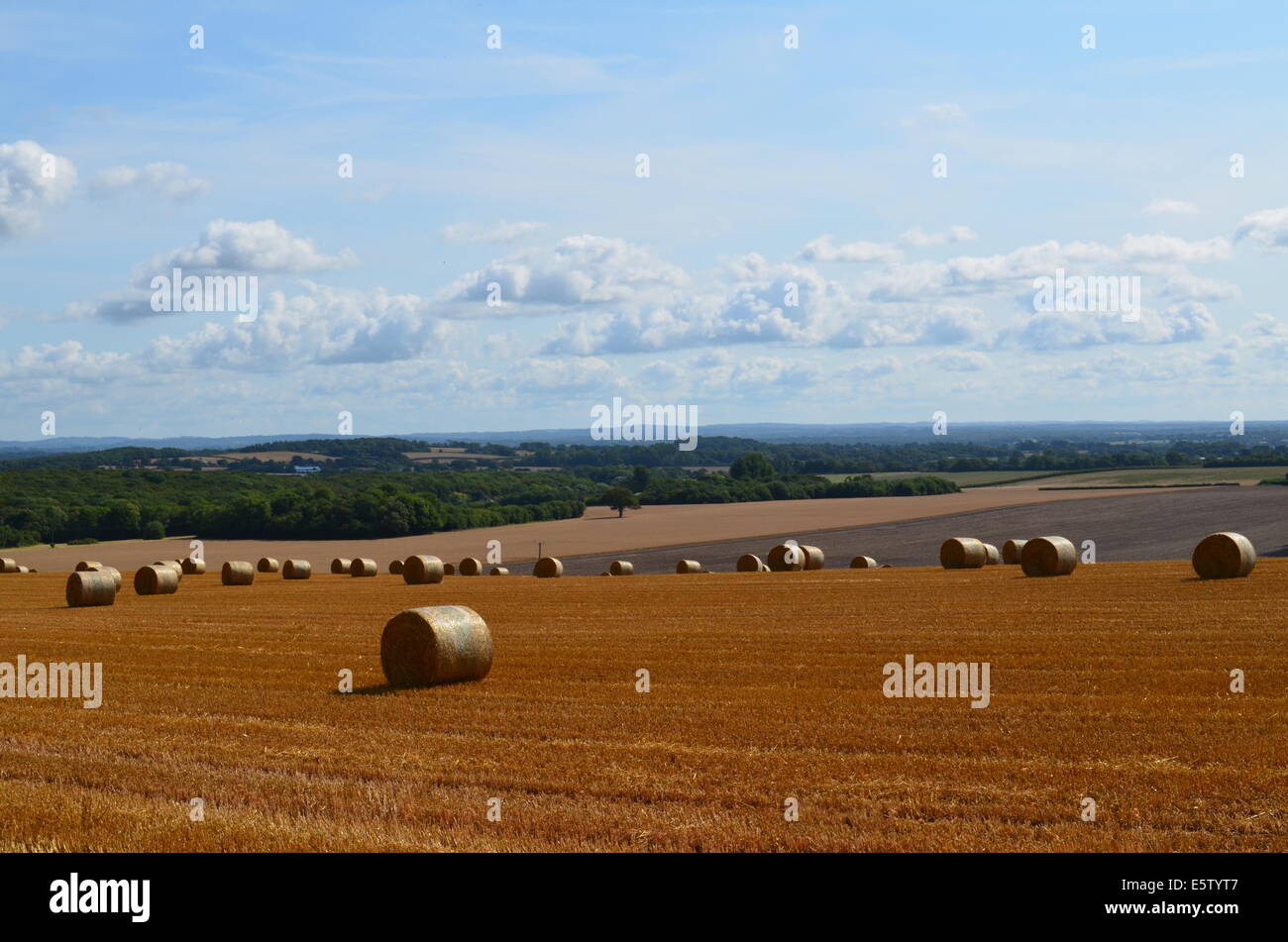 Round hay bales in a Sussex field during the Summer harvest Stock Photo ...