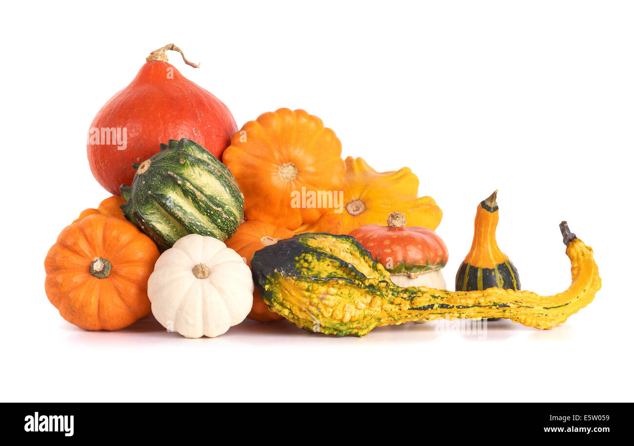 Colorful gourd family Stock Photo Alamy