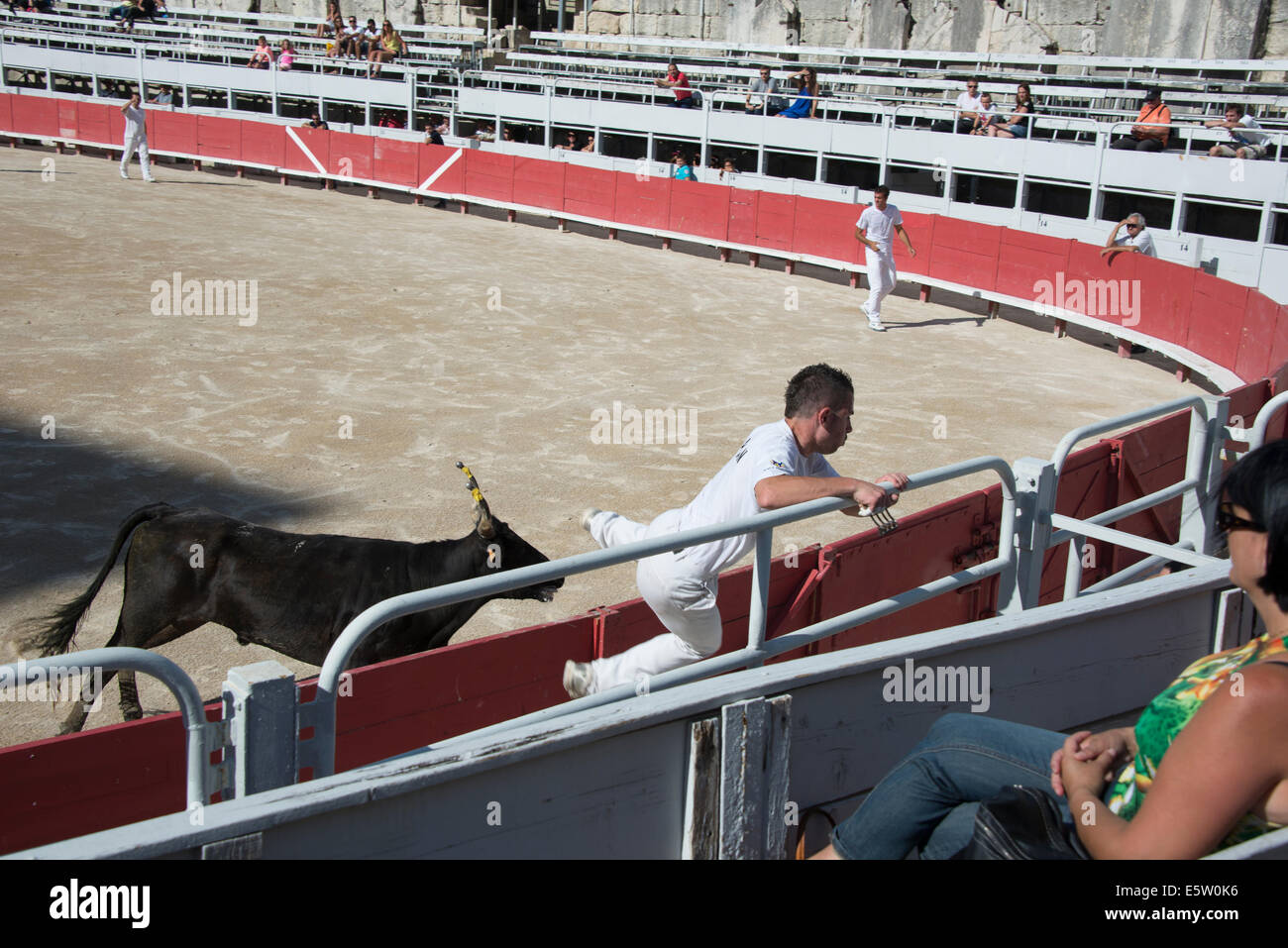Bull Racing Arles France Stock Photo - Alamy
